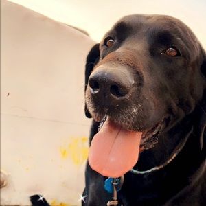 Meet your Posher, Brylee